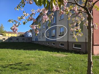 Pronájem bytu 2+1 v osobním vlastnictví 47 m², Mohelnice