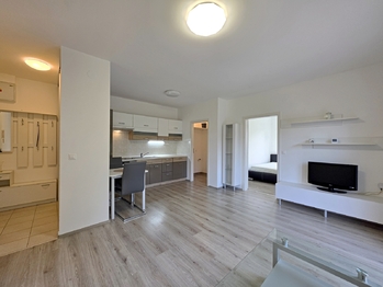 Pronájem bytu 2+kk v osobním vlastnictví 42 m², Mohelnice