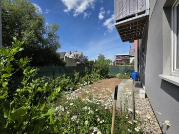 Pronájem bytu 2+kk v osobním vlastnictví 42 m², Mohelnice
