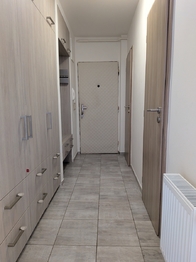 Prodej bytu 3+kk v osobním vlastnictví 71 m², Luka nad Jihlavou