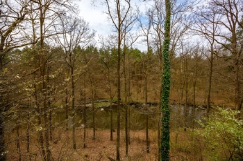 Prodej ubytovacího zařízení 93 m², Veselí nad Lužnicí