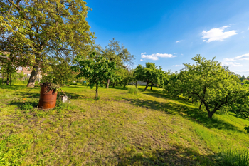 Prodej domu 225 m², Litvínov