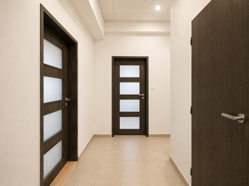Pronájem bytu 1+1 v osobním vlastnictví 66 m², Plzeň