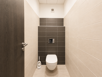 Pronájem bytu 1+1 v osobním vlastnictví 66 m², Plzeň