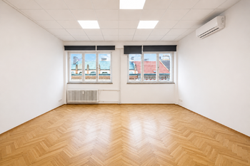 Pronájem bytu 1+1 v osobním vlastnictví 66 m², Plzeň