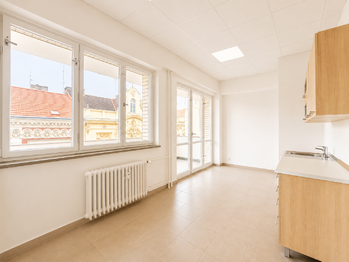 Pronájem bytu 1+1 v osobním vlastnictví 66 m², Plzeň