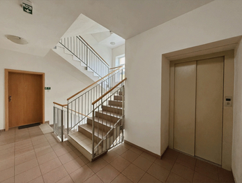 Pronájem bytu 1+kk v osobním vlastnictví 53 m², Písek