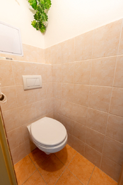 Prodej bytu 3+1 v družstevním vlastnictví 81 m², Kokory