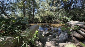 Prodej chaty / chalupy 54 m², Lčovice