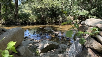 Prodej chaty / chalupy 54 m², Lčovice