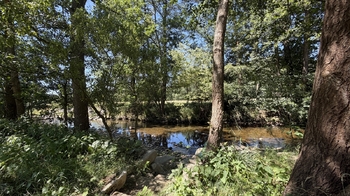 Prodej chaty / chalupy 54 m², Lčovice