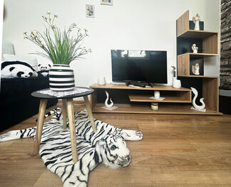 Prodej bytu 3+1 v družstevním vlastnictví 55 m², Světlá nad Sázavou