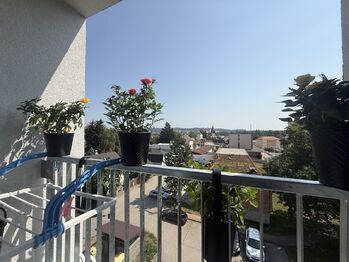 Prodej bytu 3+1 v družstevním vlastnictví 55 m², Světlá nad Sázavou