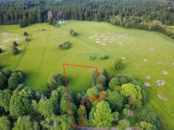 Prodej pozemku 2281 m², Lesná