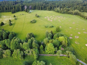 Prodej pozemku 2281 m², Lesná