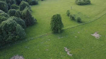 Prodej pozemku 2281 m², Lesná