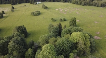 Prodej pozemku 2281 m², Lesná