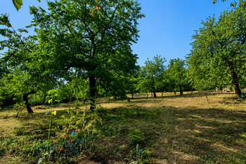 Prodej domu 230 m², Praha 6 - Lysolaje