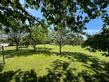Prodej domu 135 m², Olešnice