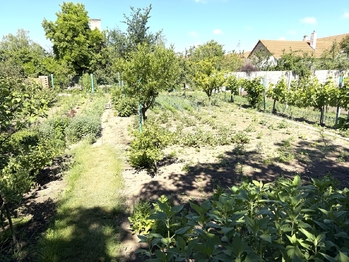 Prodej domu 220 m², Drnholec