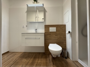 Pronájem bytu 1+1 v osobním vlastnictví 41 m², Olomouc