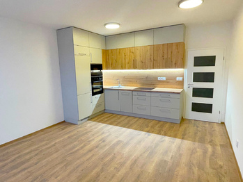 Prodej bytu 1+kk v osobním vlastnictví 43 m², Brandýs nad Labem-Stará Boleslav