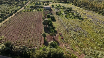 Prodej domu 108 m², Quirra