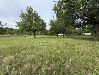 Prodej pozemku 938 m², Radějov