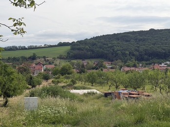 Prodej pozemku 938 m², Radějov