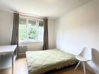 Pronájem bytu 1+kk v družstevním vlastnictví 20 m², Postoloprty