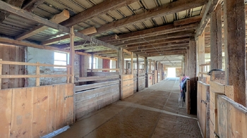 Prodej zemědělského objektu 388 m², Rokytá