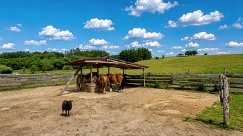 Prodej zemědělského objektu 388 m², Rokytá
