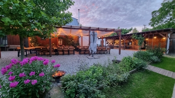 Prodej domu 382 m², Dolany