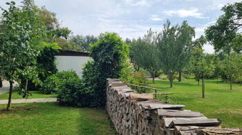 Prodej domu 382 m², Dolany