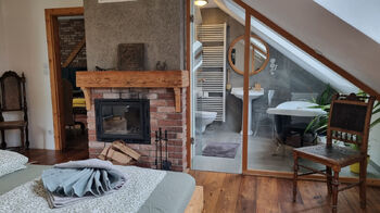 Prodej domu 382 m², Dolany