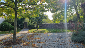 Prodej domu 382 m², Dolany