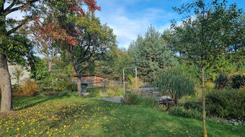 Prodej domu 382 m², Dolany