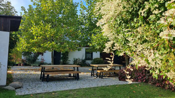 Prodej domu 382 m², Dolany