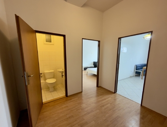 Prodej bytu 1+1 v osobním vlastnictví 46 m², Praha 7 - Holešovice