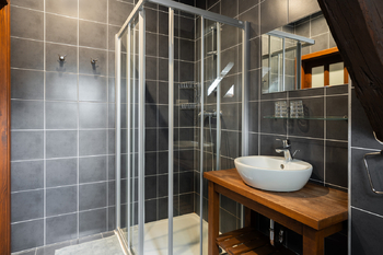 sprchový kout - Prodej zemědělského objektu 800 m², Holetín