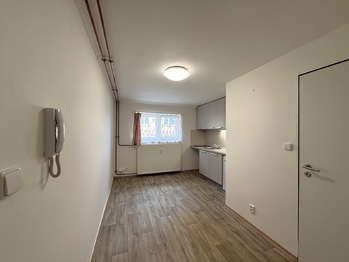 Pronájem bytu 1+kk v osobním vlastnictví 15 m², Přeštice