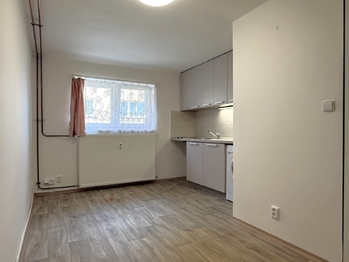 Pronájem bytu 1+kk v osobním vlastnictví 15 m², Přeštice