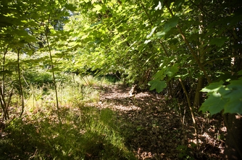 Prodej pozemku 1419 m², Příbram