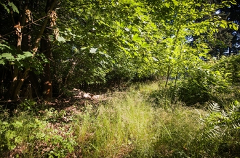 Prodej pozemku 1419 m², Příbram