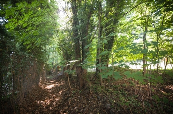 Prodej pozemku 1419 m², Příbram