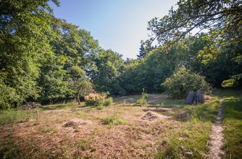 Prodej pozemku 1419 m², Příbram
