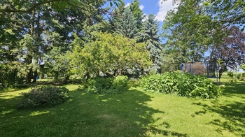 Prodej pozemku 1391 m², Oleška