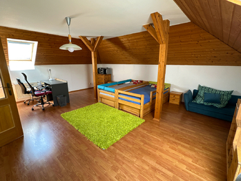 Prodej domu 400 m², Líně