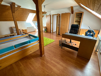 Prodej domu 400 m², Líně