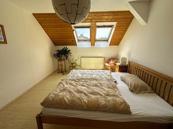Prodej domu 400 m², Líně
